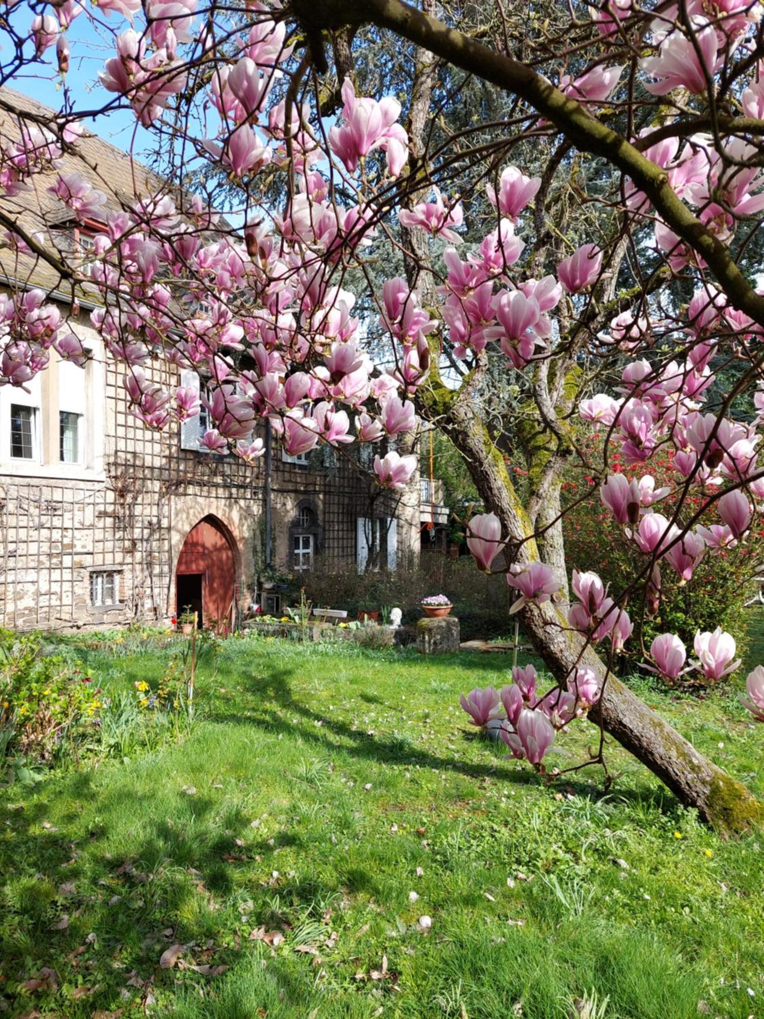 Pension Marienhof Kobern-Gondorf Exterior photo